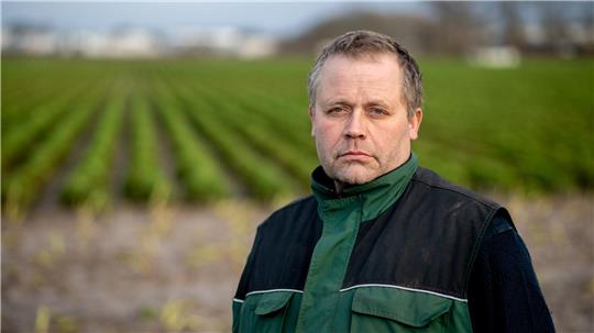 Der Schneefall hat die Grünkohlernte für Gottfried Gerken frühzeitig beendet.