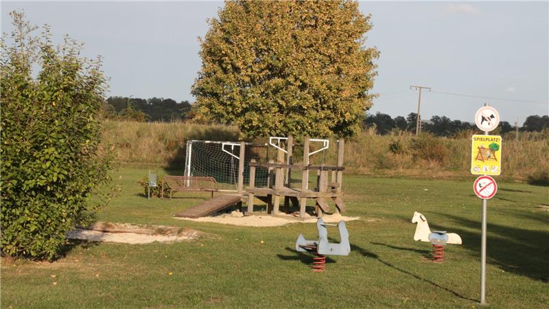 Der Spielplatz in der Martin-Luther-Straße bietet Platz für weitere Bäume als Schattenspender.