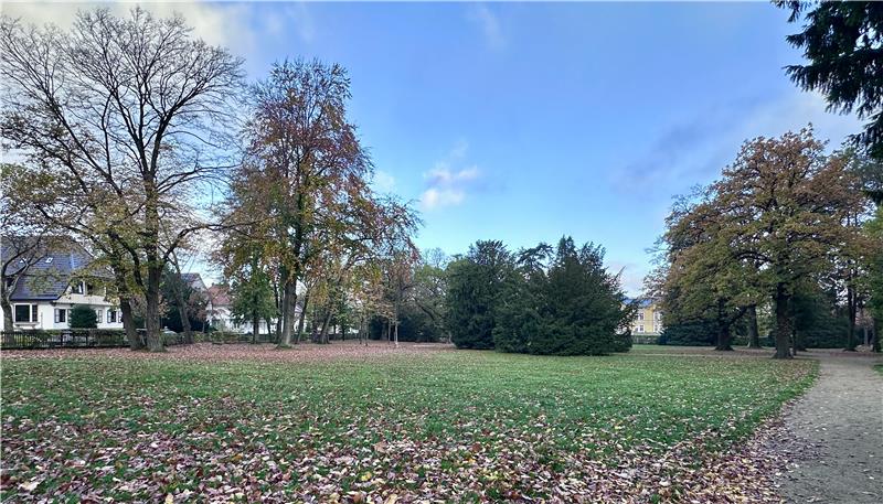 Was kann Bad Harzburg für den Klimaschutz tun? Der Stadtpark hat Bäume und raspelkurzen Rasen. Was könnte man da im Sinne des Klimaschutzes verändern?