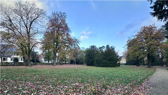 Der Stadtpark hat Bäume und raspelkurzen Rasen. Was könnte man da im Sinne des Klimaschutzes verändern?