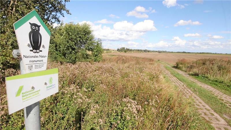 Der Staffellauf am Grünen Band führt größtenteils über ehemalige DDR-Kolonnenwege an der früheren Grenze.