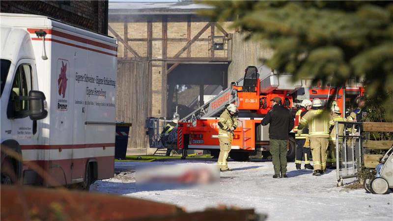 Eine Drehleiter und mehrere Feherwehrkräfte stehen vor dem Stall, in dem Schweine starben.
