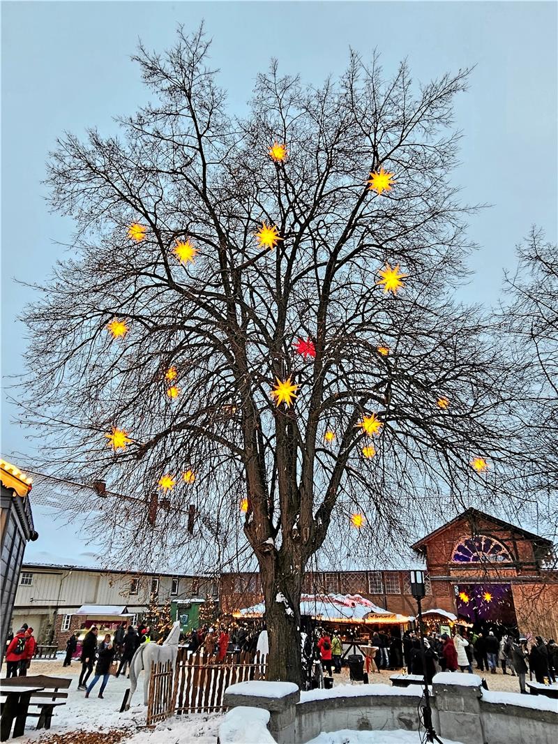 Der Sternenbaum: Er ist das Zentrum des kleinen Marktes und das Fotomotiv schlechthin. Foto: Potthast
