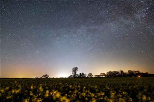 Der Sternenhimmel leuchtet über einem Rapsfeld. Auch im Mai lohnt sich ein Blick in den Sternenhimmel (Archivbild).