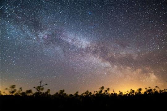 Der Sternenhimmel leuchtet über einem Rapsfeld. Laut Nasa könnte sich in den kommenden Monaten könnte ein Himmelsspektakel ereignen - eine sogenannte Nova-Explosion.