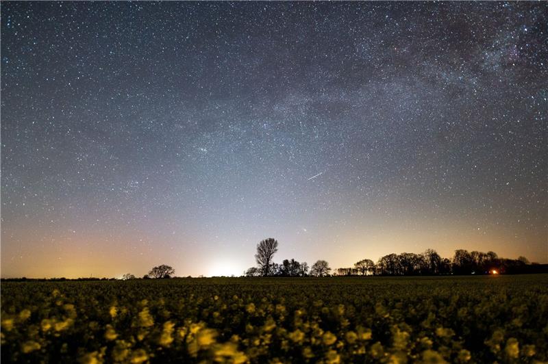 Lyriden am Nachthimmel - Chancen auf Sternschnuppen Der Sternenhimmel leuchtet über einem Rapsfeld in Schleswig-Holstein.