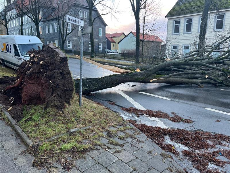 Der Straßenverkehr im Landkreis ist durch umgestürzte Bäume, wie hier auf der Goslarschen Straße in Zellerfeld behindert. Buslinien mussten ihren Betrieb einstellen. Foto: Neuendorf