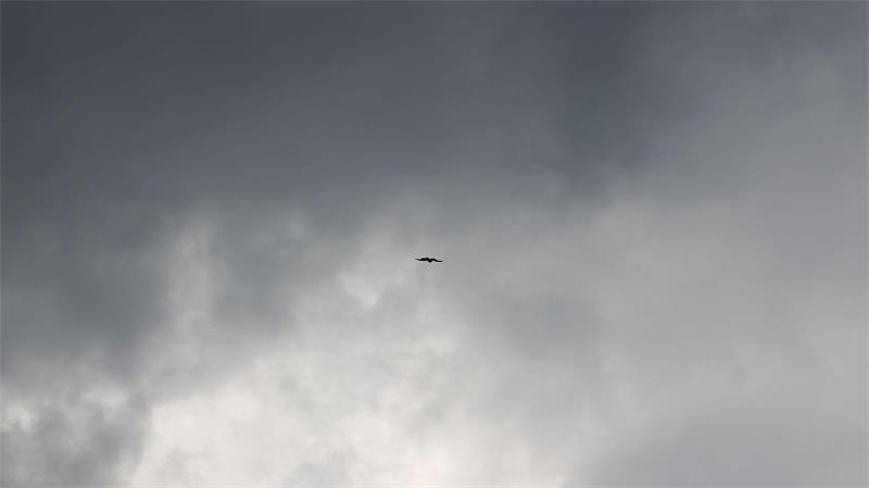 Der Südosten Brasiliens wurde vom Windsturm stark betroffen. (Symbolbild)