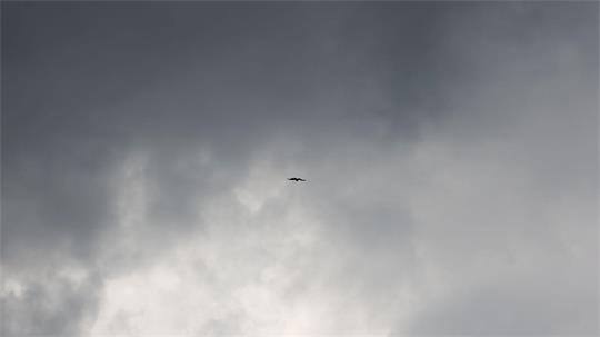 Der Südosten Brasiliens wurde vom Windsturm stark betroffen. (Symbolbild)