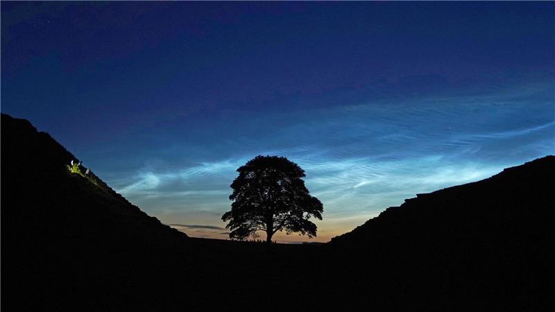 Alter von illegal gefälltem Robin-Hood-Baum bestimmt Der Sycamore Gap Tree in England war einst ein beliebtes Fotomotiv. (Archivfoto)