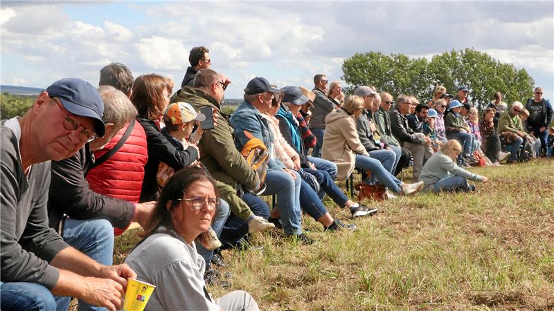 Der Tag des offenen Denkmals erweist sich auf der Werla in diesem Jahr als Besuchermagnet.