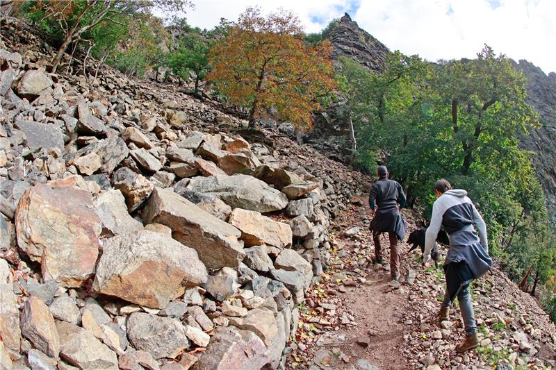 Harzer Tourismus-Verband: 120 Jahre Werbung für Tourismus „Der Tourismus im Harz hat sich auf einem hohen Niveau stabilisiert“, sagte HTV-Geschäftsführerin Carola Schmidt. Foto: picture alliance/dpa | Matthias Bein