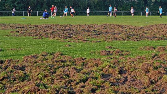 Der Trainingsbetrieb vor allem der Junioren ist durch den immer weiter wachsenden Bereich der Verwüstung deutlich eingeschränkt.