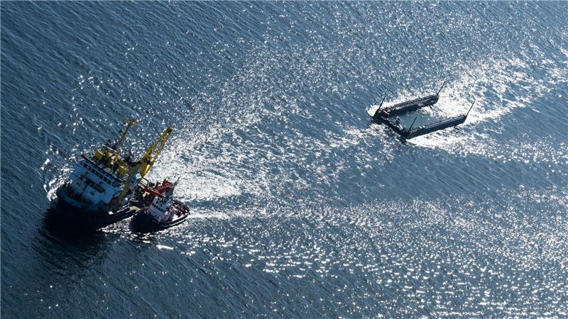 Der Transport bedeutet Experten zufolge unter anderem wegen des Lärms viel Stress.