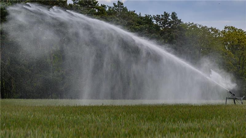 Monate fast ohne Regen - Droht ein schlimmer Dürresommer? Der UFZ-Dürremonitor zeigt seit vielen Wochen verbreitet Dürre im Oberboden.