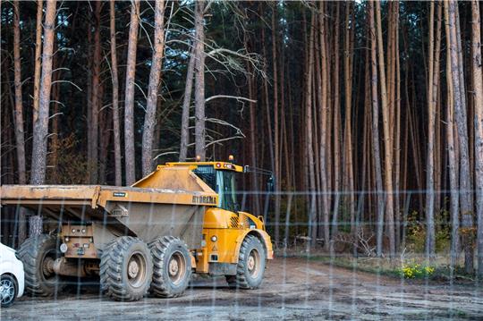 Der US-Elektroautobauer Tesla will seine Produktion in Grünheide bei Berlin vergrößern und dafür rund 70 Hektar Kiefernwald roden.
