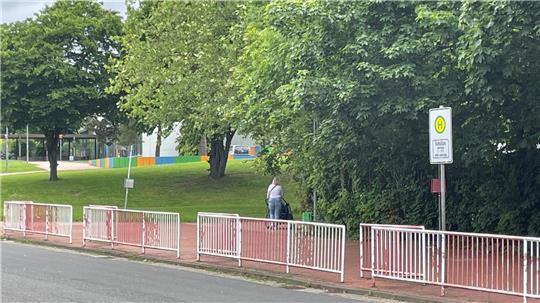 Fußgängerin mit Kinderwagen auf Gehweg neben Straße mit rotem Geländer und Haltestellenschild vor grünem Park mit Bäumen