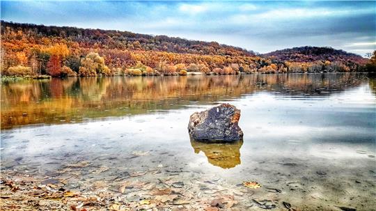 Der Vienenburger See ist zu jeder Jahreszeit eine Umrundung wert. Im herbstlichen Laub mit pittoreskem Vordergrund steht er einer Ansichtskarte aus Kanada in nichts nach. Die Stadt Vienenburg hat in den 70er Jahren bei der Umwandlung des Kiesteiches zum Naherholungsgebiet ganze Arbeit geleistet.  Foto: Neumann