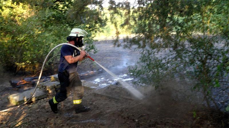 Der Waldbrand drohte, auf ein VHS-Gebäude in Lingen überzugreifen. (Symbolbild) 