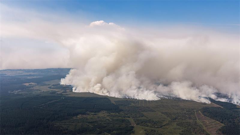 Brand im Hohen Venn: Evakuierung bei Monschau angeordnet Der Waldbrand im belgischen Moorgebiet.