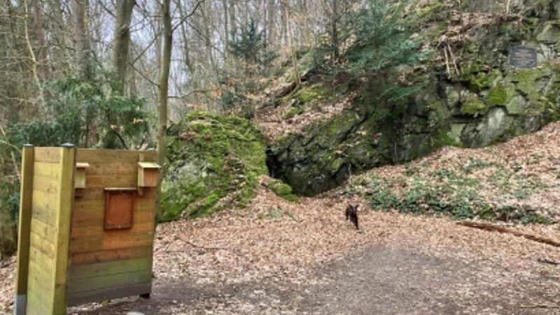 Der Walderlebnispfad soll renoviert werden.