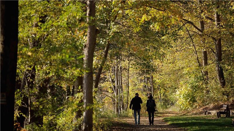 Leichte Besserung, aber Waldumbau weiter mit Hochdruck Der Waldzustandsbericht für Niedersachsen zeigt eine leichte Besserung im Vergleich zu den Trockenjahren von 2018 bis 2023.