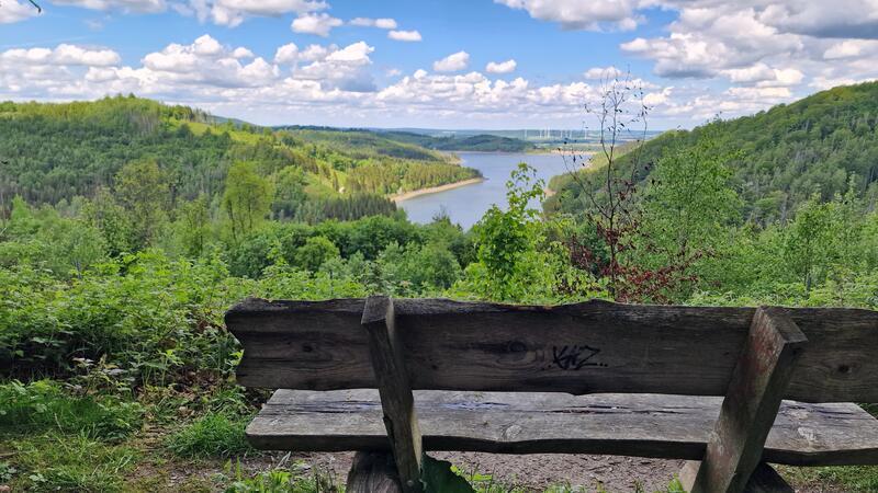 Holzbank mit Graffiti vor bewaldeter Flusslandschaft unter blauem Himmel mit Wolken