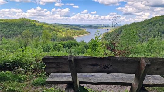 Holzbank mit Graffiti vor bewaldeter Flusslandschaft unter blauem Himmel mit Wolken