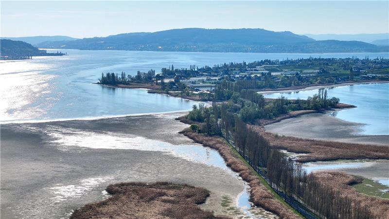 Trockenperiode in Deutschland - was sind die Folgen? Der Wasserstand des Bodensees ist aktuell sehr niedrig.