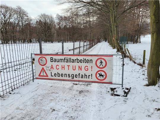 Der Weg am Wildgehege ist wegen Baumfällungen bis voraussichtlich Mitte kommender Woche gesperrt. Foto: Exner