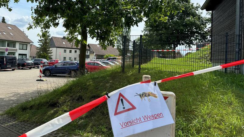Der Weg von der Grundschule zum Parkplatz Eichendorffstraße ist vorerst wegen der Wespen gesperrt.