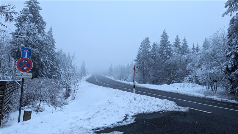 Die Straße zum Goetheweg in Torfhaus