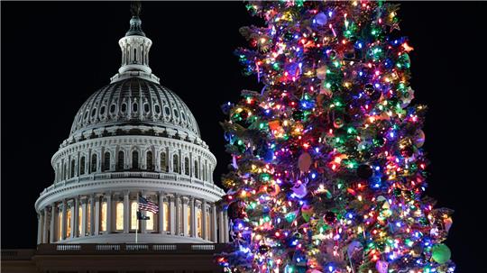 Der Weihnachtsbaum des US-Kapitols, eine Rottanne aus dem Humboldt-Toiyabe National Forest in Nevada, wird beleuchtet.