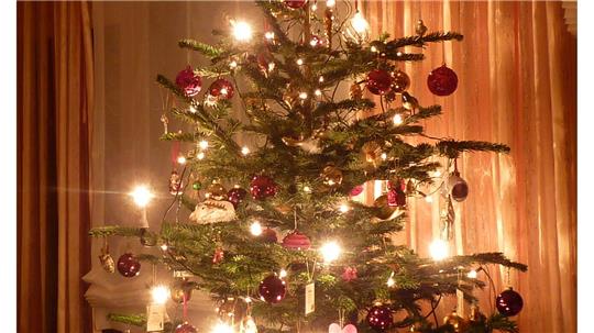 Der Weihnachtsbaum von Gudrun und Hartwig Bremer. Sie geben eine schöne Tradition zur Erinnerung an Weihnachten auch an die Familie ihrer Tochter weiter.