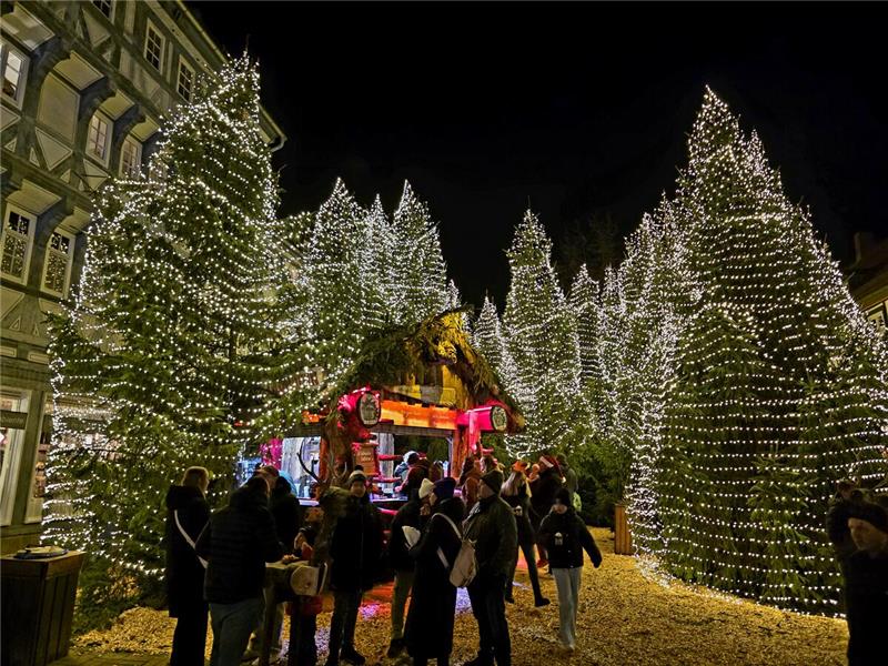 Menschen stehen zwischen beleuchteten Tannen.