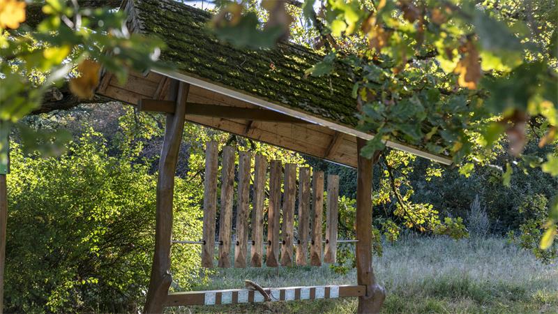 Sicherheitsmängel: Mehrere Anlagen im Weltwald Harz gesperrt Holzüberdachung mit schrägem Dach und darunter hängenden Holzlatten auf einer Wiese.