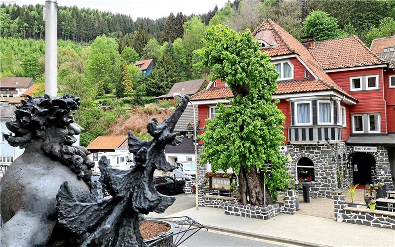 Der Wilde Mann und die Wildemann-Linde gehören zusammen. Beide werden in zahlreichen historischen Unterlagen erwähnt.  Fotos: Weiss