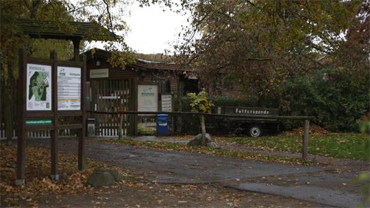 Der Wildpark bleibt nach dem Wolfsangriff auf ein achtjähriges Mädchen vorerst geschlossen. 