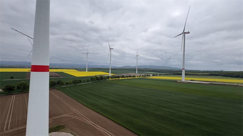 Mehrere Windräder stehen auf Feldern unter bewölktem Himmel