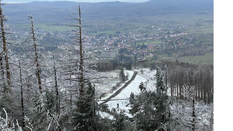 Warum verbringen so viele Menschen ihren Urlaub in Braunlage? Der Winter 2024 ist durchwachsen gewesen, dennoch stimmen die Tourismuszahlen in Braunlage. Aber welche Rolle spielt da eigentlich der tote Wald?