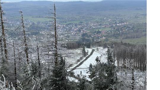 Der Winter 2024 ist durchwachsen gewesen, dennoch stimmen die Tourismuszahlen in Braunlage. Aber welche Rolle spielt da eigentlich der tote Wald?