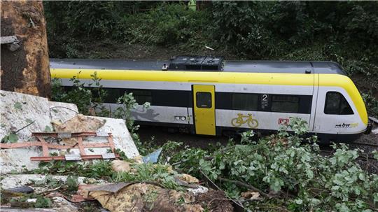 Der Zug entgleiste bei Riedlingen.