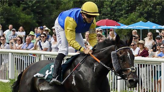 Der amtierende Jockey-Champion Thore Hammer-Hansen gibt sich die Ehre: Vor einem Jahr gewann der Däne mit dem Harzburger Wallach Agent Sim aus dem Stall Weißer Stein auf der Bündheimer Rennbahn ein Superhandicap. Foto: Epping