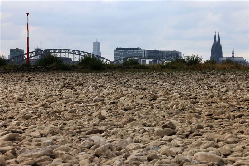 Weltklimarat fordert drastische Klimaschutzschritte vor 2030 Der ausgetrocknete Uferbereich des Rheins bei Köln im vergangenen Sommer.