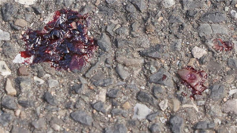 Der bei dem Messerangriff eines Elfjährigen verletzte 13-jährige Junge konnte das Krankenhaus wieder verlassen.