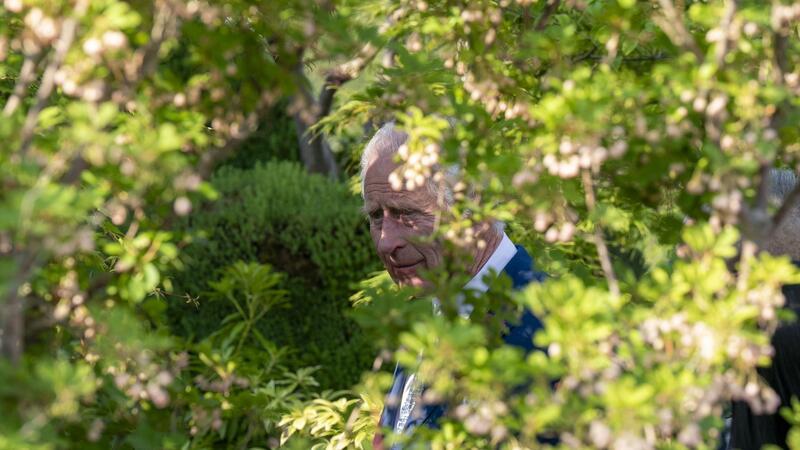 Berühmter Baum gefällt: König Charles bekommt Ableger Der britische König Charles III. beim Besuch der Chelsea Flower Show in London.
