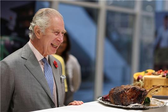 Der britische König Charles ist für seinen Einsatz im Umweltschutz bekannt.