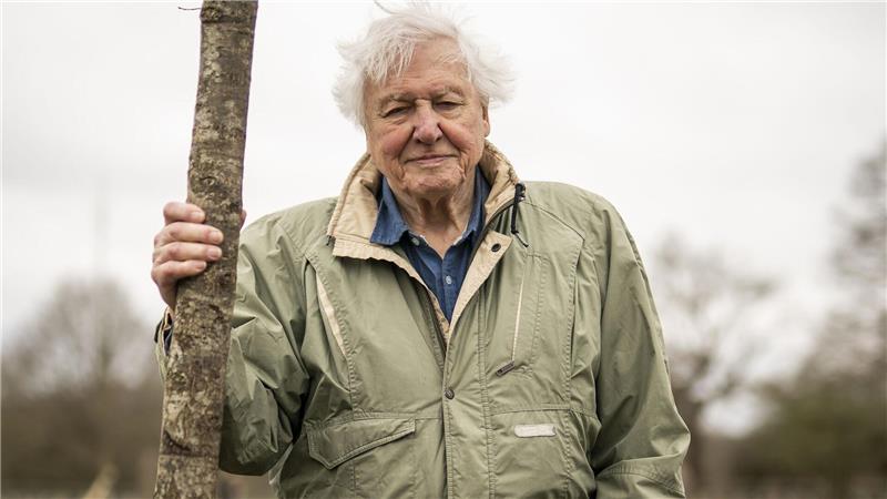 Der britische Naturforscher und Dokumentarfilmer David Attenborough feiert seinen 100. Geburtstag. (Archivbild)