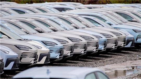 Der chinesische E-Auto-Hersteller BYD konnte seinen Absatz in Deutschland im Oktober erneut steigern. (Archivbild)