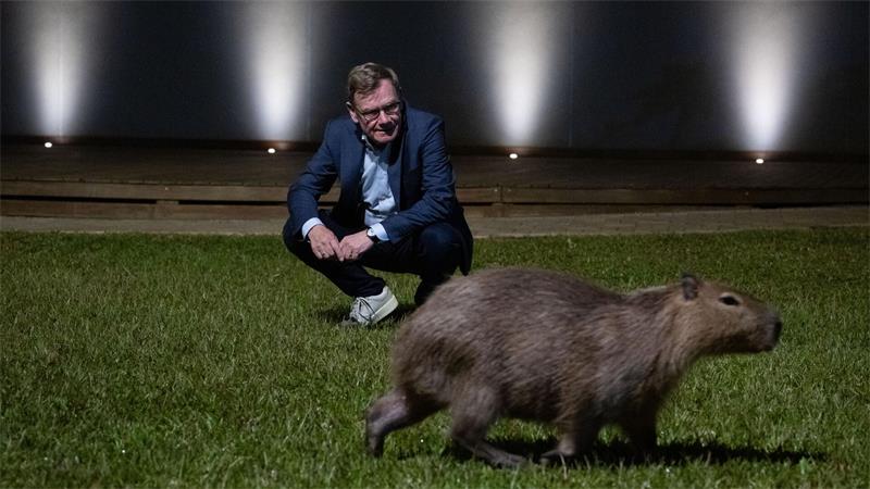 Der deutsche Außenminister Johann Wadephul (CDU) nähert sich am späten Abend freilebenden Capybaras in Brasilia. 